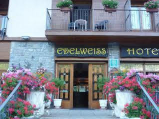 Apartamentos Snoe Edelweiss Apartment